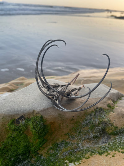 Devil's Claw